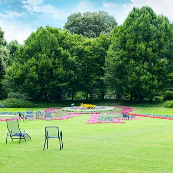 Lounge chairs for relaxing in the summer park