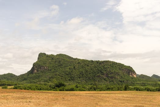 The mountain landscape in thailand