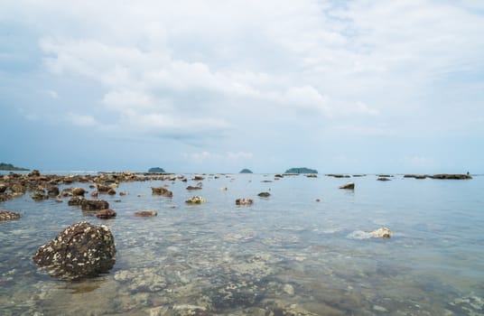 Coral stone in water on sea sand.