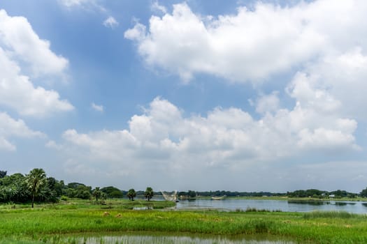 Green nature landscape in day time