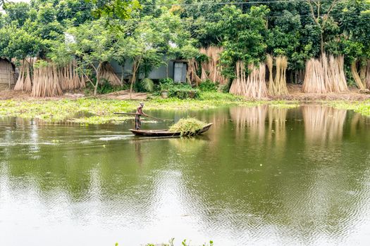 Green nature landscape in day time