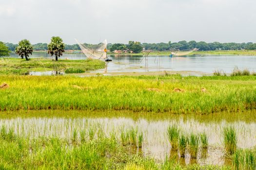 Green nature landscape in day time