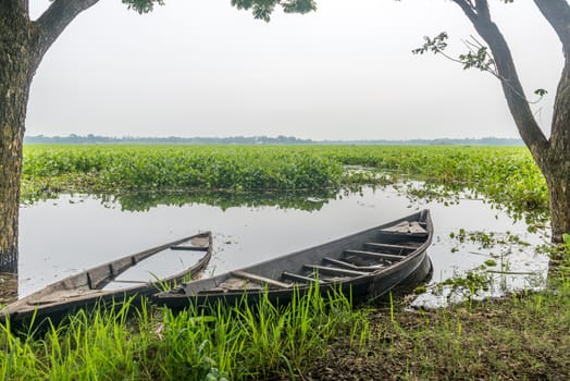 green field Field nature with boat and white background sky