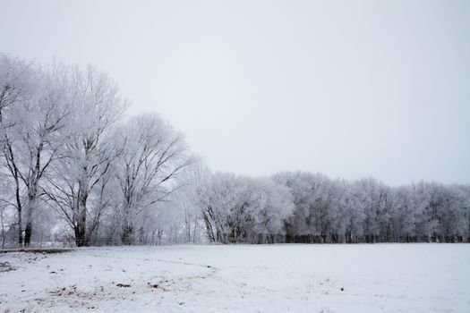 Very cold and foggy outside but looks peacefull