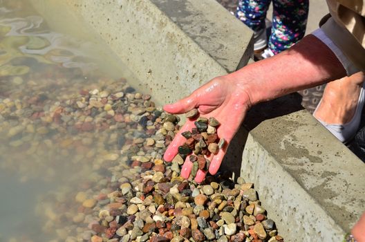 Tourists searching amber between shingles as attraction during annual St. Dominics Fair.