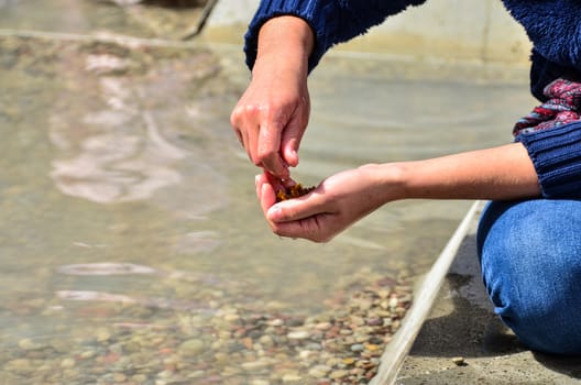 Tourists searching amber between shingles as attraction during annual St. Dominics Fair.