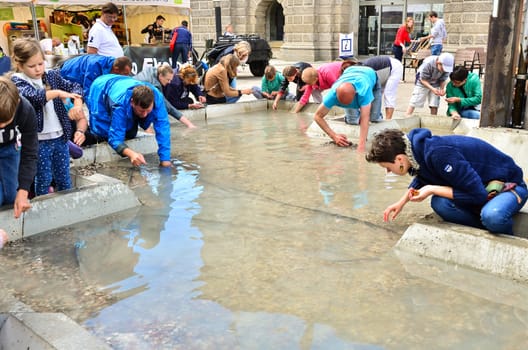 Gdansk-Poland 11 august 2016, Tourists searching amber between shingles as attraction during annual St. Dominics Fair. Editorial photo.