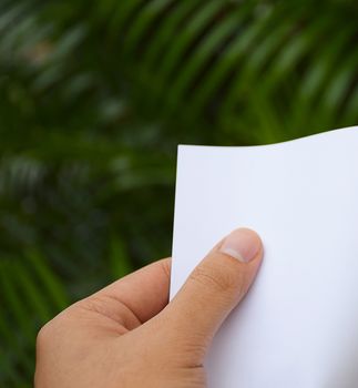 Hand holding white paper with nature background.