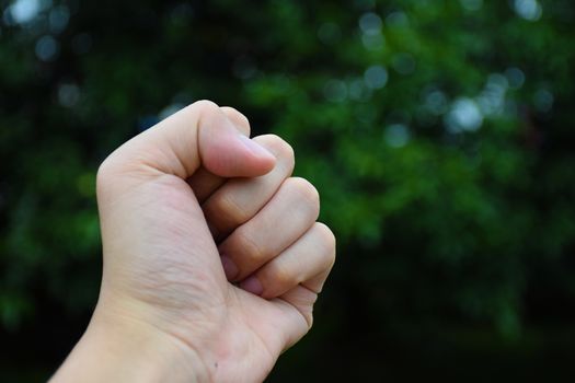 handful Human hand with nature background. Represents hope.