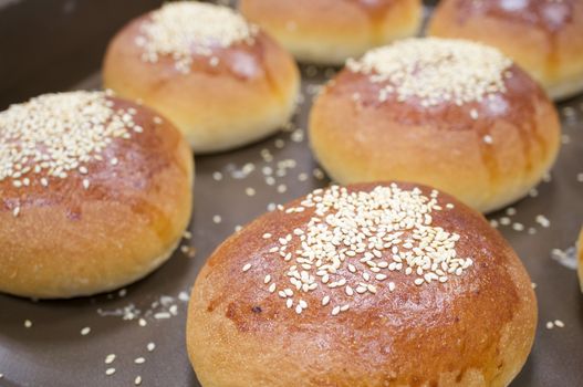 Brown bread baked with white sesame on brown oven tray.