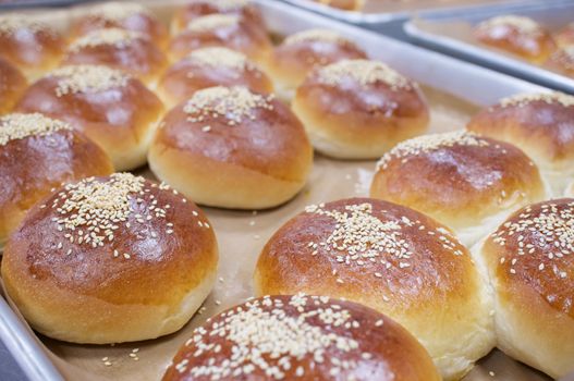 Close up brown bread baked with white sesame on aluminium oven tray.