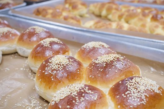 Close up brown bread baked with white sesame on aluminium oven tray.