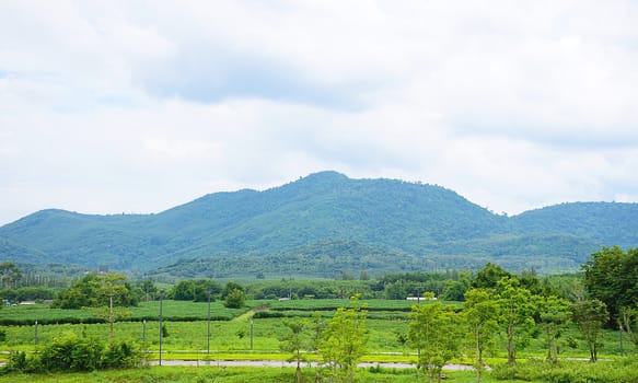 landscape and mountains in Thailand.