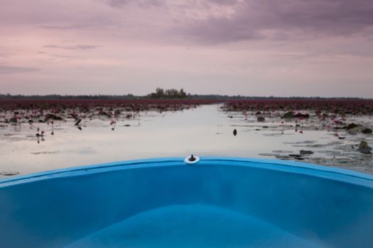 Small boat in the lake of red lotus, stock photo