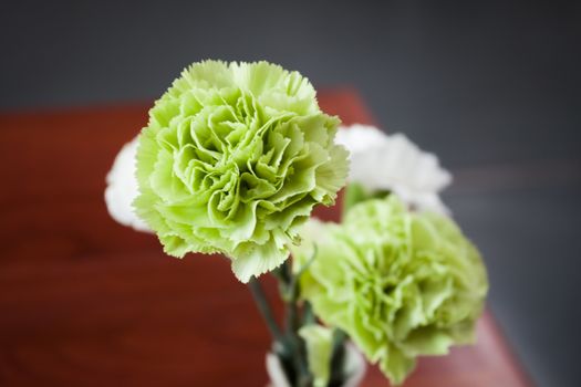 Green and white flowers background, stock photo