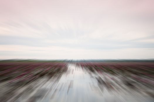 Lake of red lotus at Udonthani Thailand with radial background, stock photo