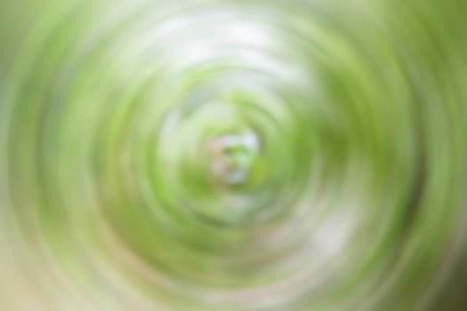 Abstract blurred green leaves background, stock photo