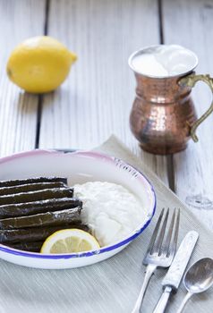 sarma dish- rice and mint wrapped in grape vine leaves