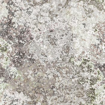 2d illustration of a seamless lichen background