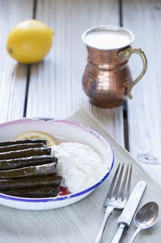 sarma dish- rice and mint wrapped in grape vine leaves