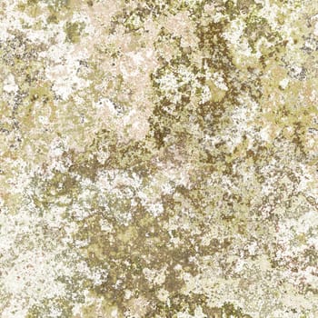 2d illustration of a seamless lichen background