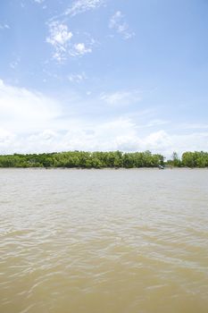 View of river and forest in Thailand.