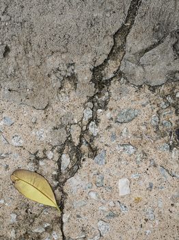 Dry leaf on concrete top view.