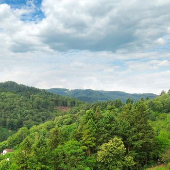 mountains covered with forests