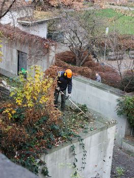 Luzern, Switzerland - November 29 2016. Autumn impose order on the street, and mowing the lawn