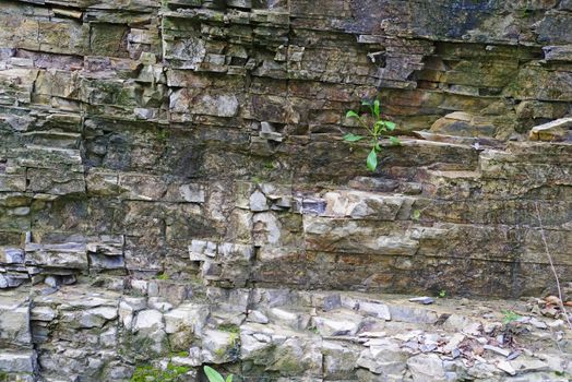 Mountain rock details, cracked surface texture