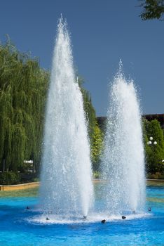 Beautiful fountain park in the summer