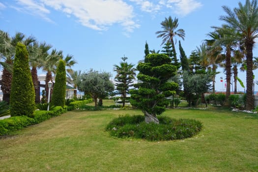 Beach resort garden near hotel in Kemer, Turkey