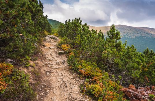 Hiking Trail on the Hill in the Mountains on a Cloudy Day