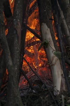 Close view inside a firecamp. Burning wood