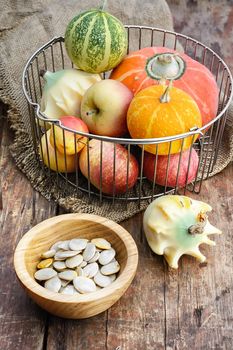 Set of pumpkins with seeds from the autumn harvest