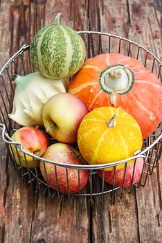 Metal basket with decorative fall pumpkins and apples