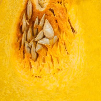 yellow pumpkin on background