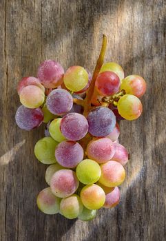 Bunch of unripe wine grapes on old table wood