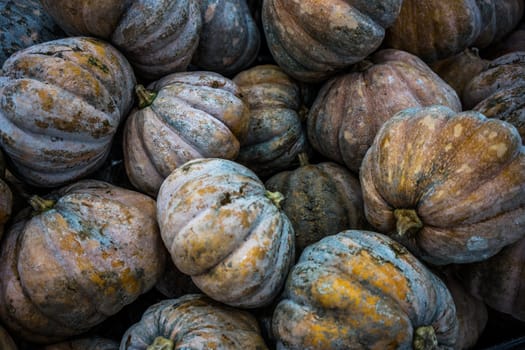 A shot of fresh pumpkins taken at a local market in Selangor Malaysia.