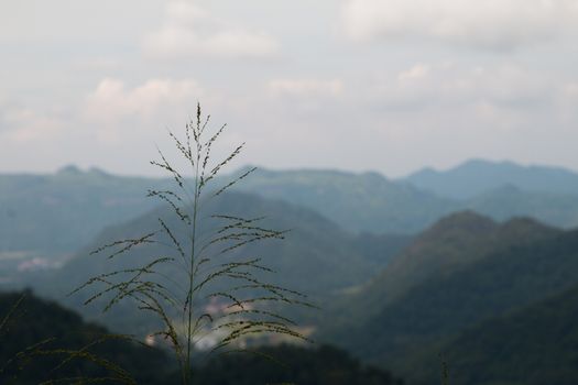 mountain range