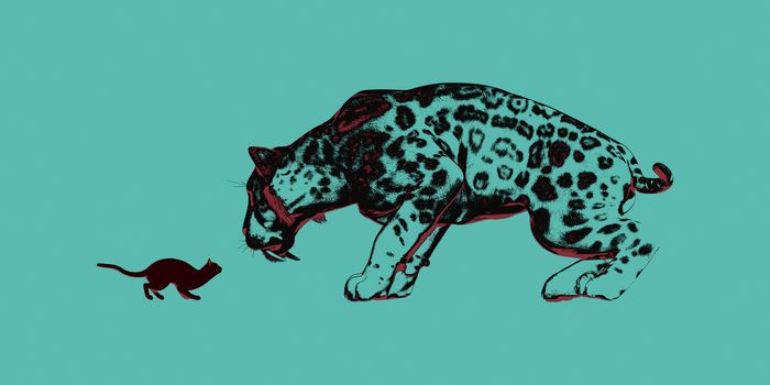 Attitude Concept with Small Cat Staring at Sabretooth