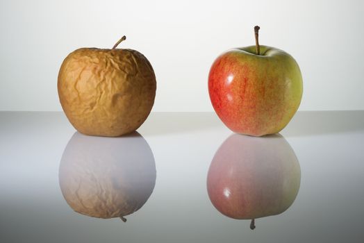 Wrinkled and fresh beautiful apples on a surface with reflection