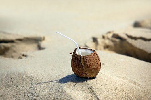 Frash coconut on beach background