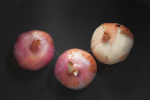 The onion has a substantial nutritional value, thanks to the presence of mineral salts and vitamins, especially vitamin C, but also contains many enzymes that aid digestion and stimulate the metabolism