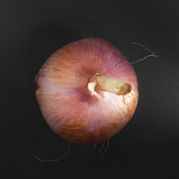 The onion has a substantial nutritional value, thanks to the presence of mineral salts and vitamins, especially vitamin C, but also contains many enzymes that aid digestion and stimulate the metabolism