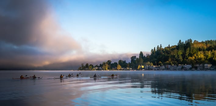 Early morning kayakers glide on Lake Sammamish.