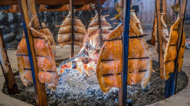 Blake Island, WA, USA - 8/23/2015: Traditional salmon bake at Tillicum Village. The salmon meat is attached to cedar stakes and arranged around a fire fed by alder wood to obtain a distinctive smoky flavor.