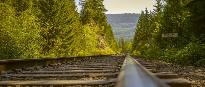 The tracks lead to McGuire near Whistler, BC, Canada.
