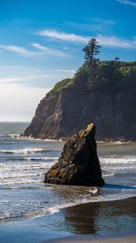 Portrait view of Abbey Island on Ruby Beach