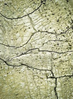 abstract background or texture crack on the concrete surface